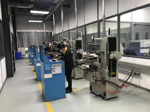 問需于企，精準服務 走進物聯網應用服務領域的雙星